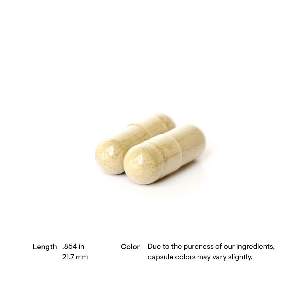 Thorne - Quercetin Phytosome 60ct