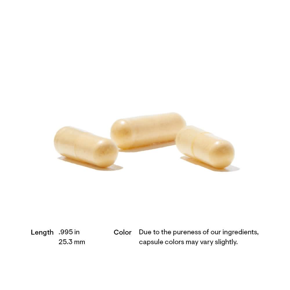 Thorne - Methyl-Guard Plus 90ct