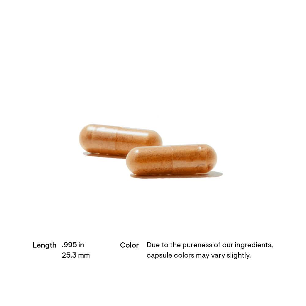 Thorne - Red Yeast Rice + CoQ10 120ct