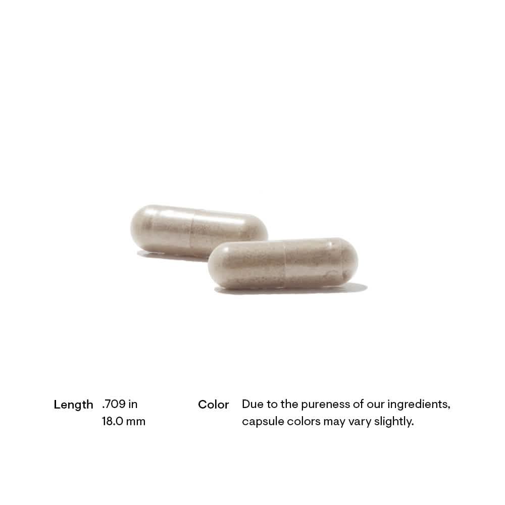 Thorne - Ferrasorb 60ct